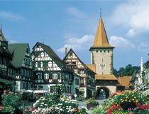 Gengenbach Stadtgebiet