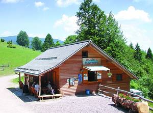 Bild 1 - 
