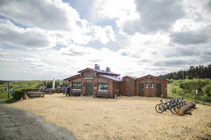 Bild 1 - 