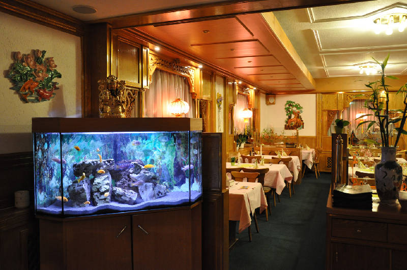 China Restaurant Am Schloss Geislingen Restaurant C Toubiz Gastronomie Restaurants Hutten Gasthofe Straussi