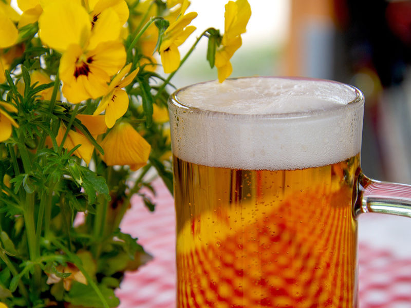 Waldhauser Hof Tubingen Biergarten Gasthaus Gasthof