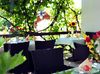 Bild 3 - Restaurant Zum Weinbrunnen