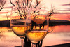 Bild 3 - Naturfreundehaus Bodensee