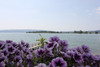 Bild 4 - Naturfreundehaus Bodensee