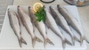 Bild 12 - 