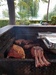 Bild 10 - 