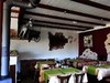 Bild 8 - Landgasthaus Zur Spechtschmiede