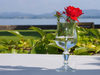 Bild 2 - Restaurant zum Schiff