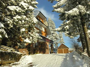 Bild 1 - 