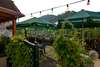 Bild 2 - Landgasthof-Pension Ochsen